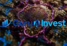 Guru4Invest has completed a major update of its security systems BITCOIN