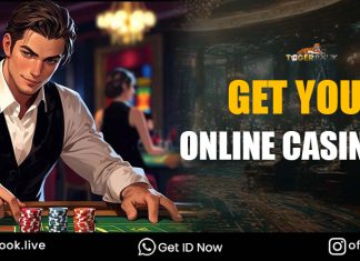 How a Simple Casino ID Can Turn Online Gaming into a Real Entertainment Experience casino ID
