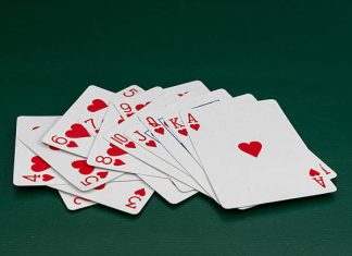 Cricketbet99: Your Go-To Spot for Cricket Fun and Betting Cricketbet99