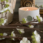 Essential Oil Candles: The Cozy Upgrade Your Home Actually Needs Essential Oil Candles