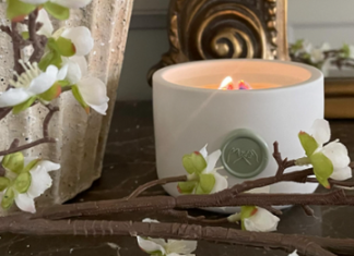 Essential Oil Candles: The Cozy Upgrade Your Home Actually Needs Essential Oil Candles