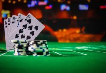 Why Tiger 365 is Becoming the Go-To Destination for Online Betting in India tiger 365