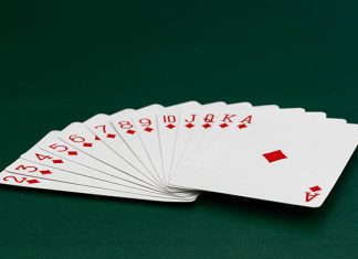 Tiger 365 Login: Your Easy Guide to Jumping Into the Action tiger 365 login