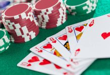 Get in on the Action: Explore Cricket, Casino, and Betting Fun with CricBet99 welcome to cricbet99