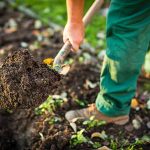 Garden Excavation: Digging Up Your Backyard Without Losing Your Mind garden excavation