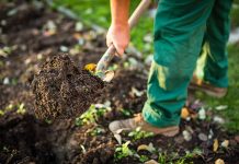 Garden Excavation: Digging Up Your Backyard Without Losing Your Mind garden excavation