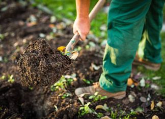 Garden Excavation: Digging Up Your Backyard Without Losing Your Mind garden excavation