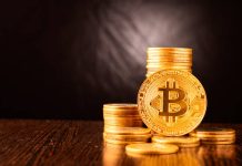 Bitcoin’s Rollercoaster Ride: Can We Really Predict the Next Move? Understanding the Wild World of Crypto Bitcoin Price Prediction