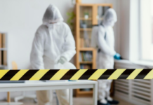 Essential Services Every Homeowner Should Know About for Peace of Mind Homeowner