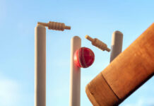 Cricbet99 Is Attracting More Gamers Who Want a Simple Yet Fun Online Platform cricbet99
