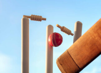 Cricbet99 Is Attracting More Gamers Who Want a Simple Yet Fun Online Platform cricbet99